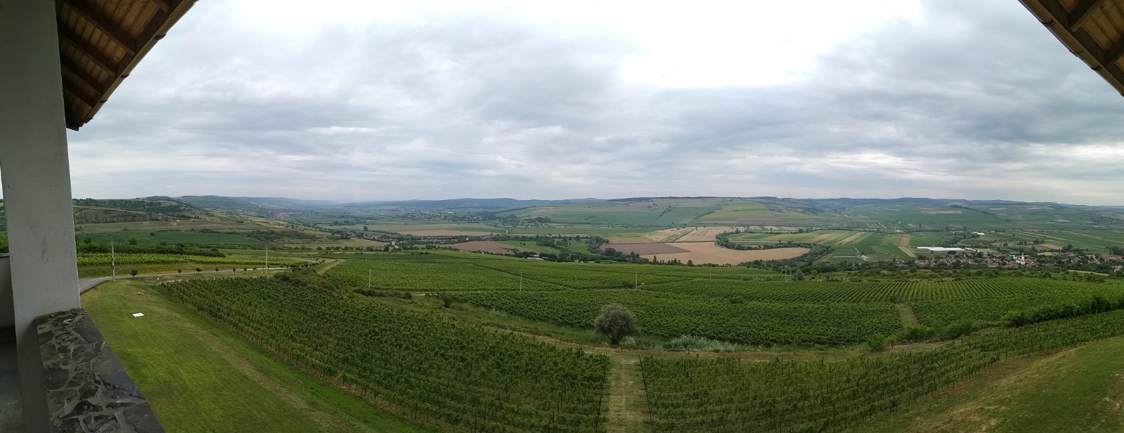 Panoráma