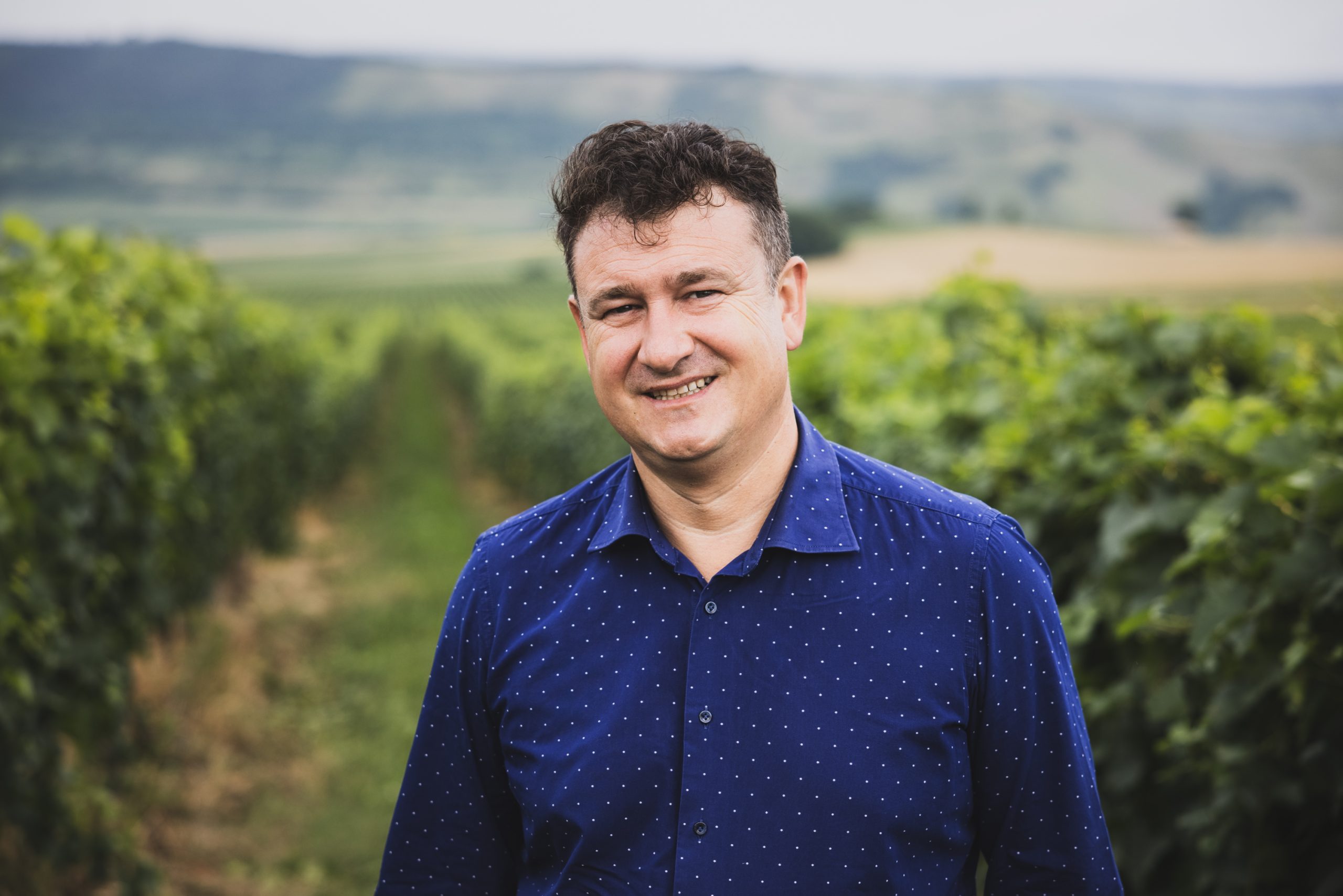 Mircea Matei. General Manager