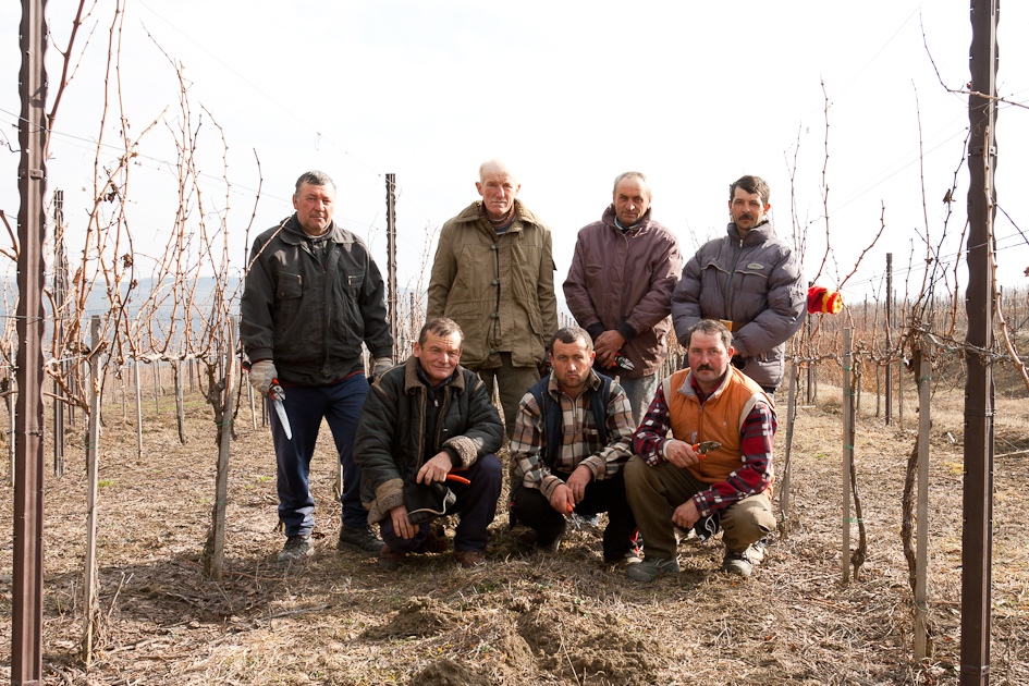 Colegii nostri de la crama si din podgorie