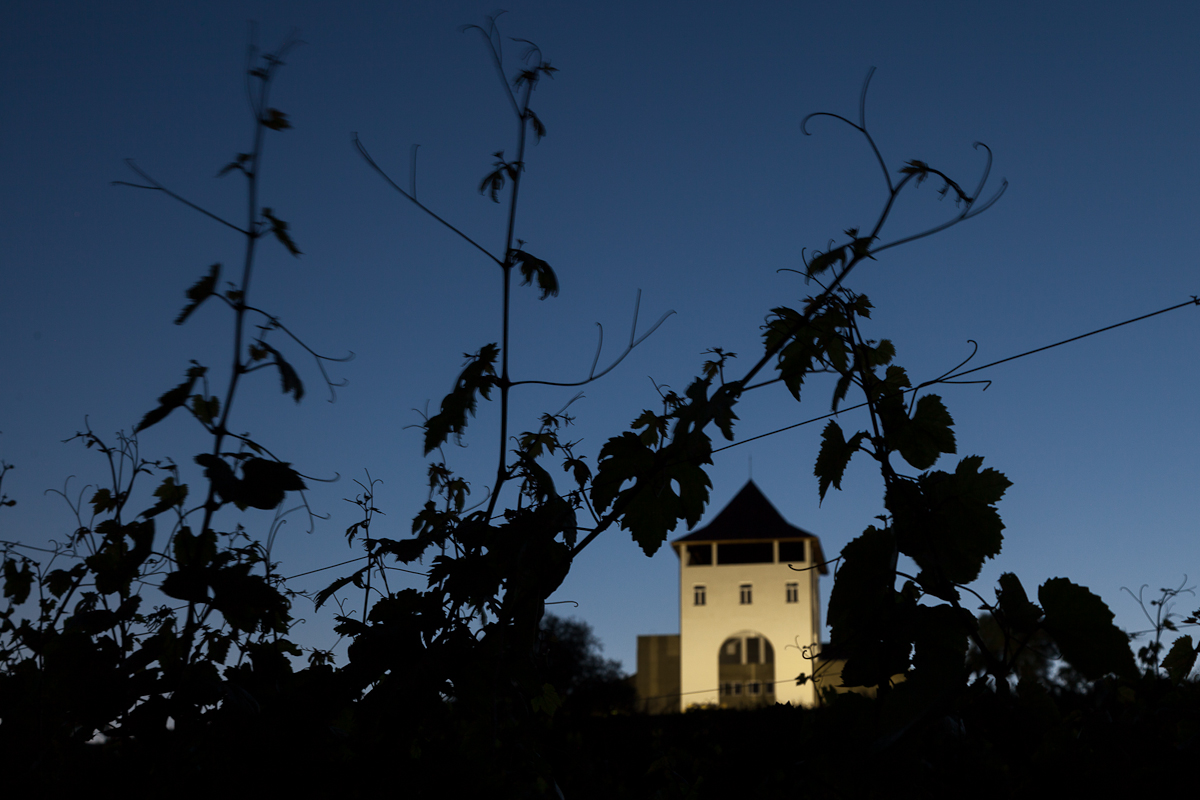 Wine, Jazz & Slow Food, vineri 21 august