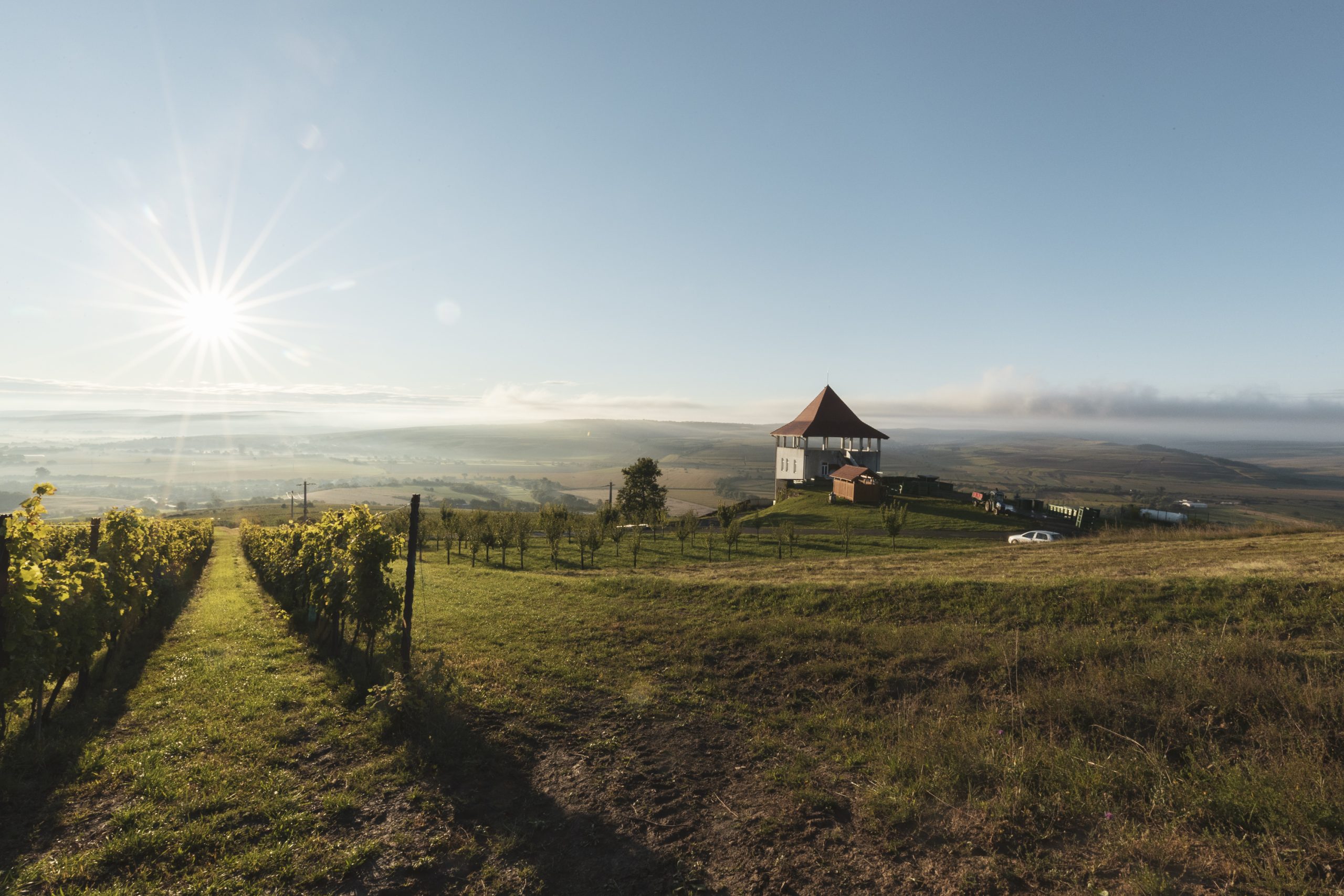 Pachete degustare si cazare | Wine tasting and accommodation offers 2025