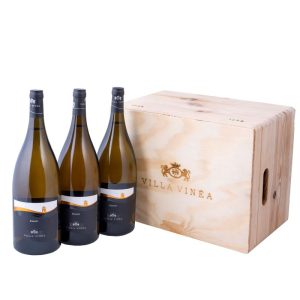 Verticala Diamant Magnum 2018, 2020, 2021