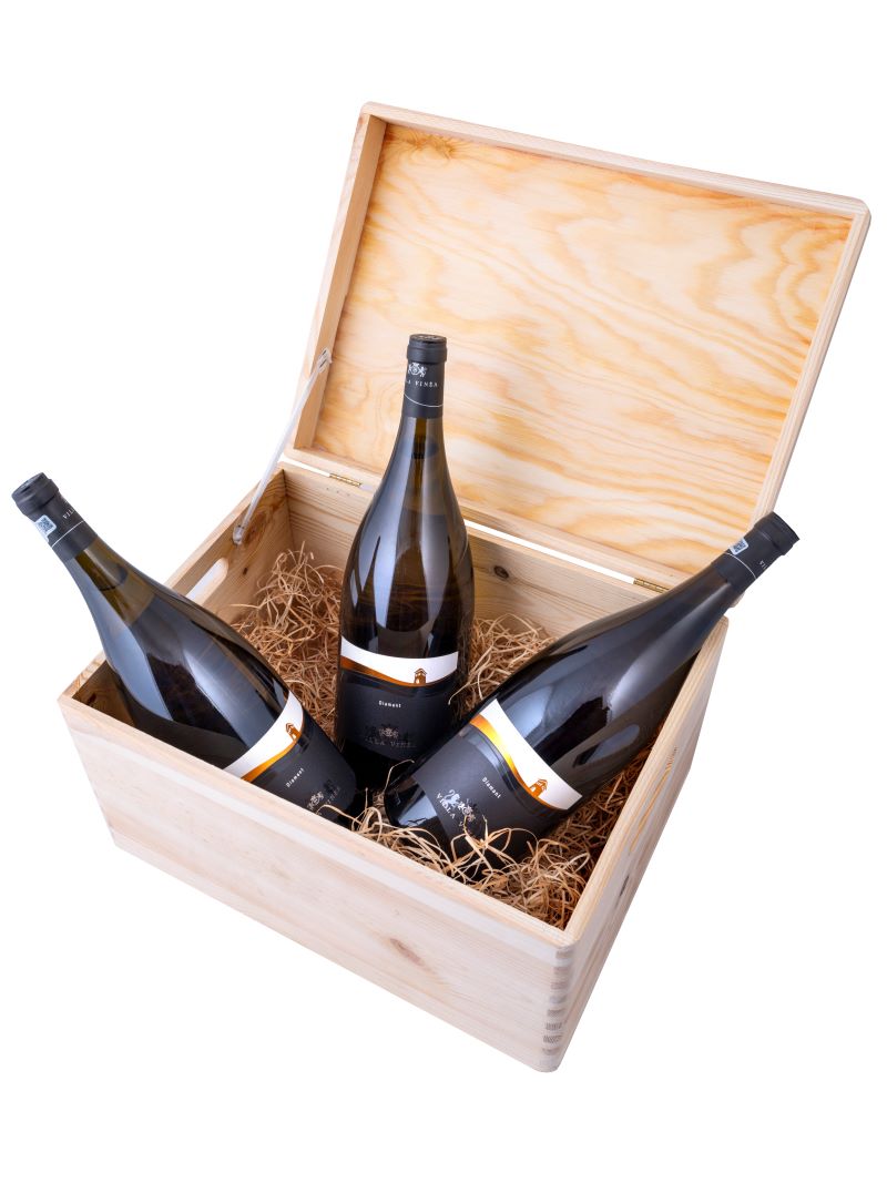 Verticala Diamant Magnum 2018, 2020, 2021 - imagine 3