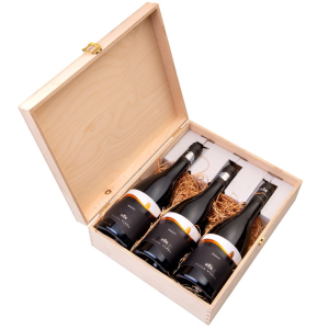 Verticala Diamant 2019, 2020, 2021