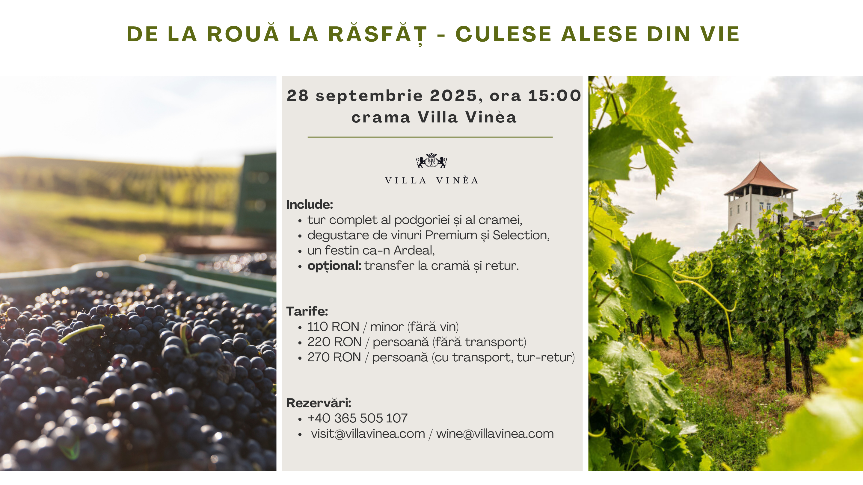 De la rouă la răsfăț – Culese alese din vie